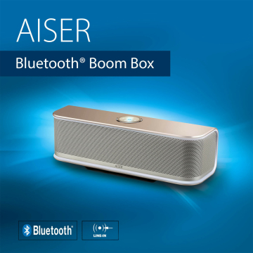 AISER ® HSR 13 Bluetooth ® Boom Box Gold Silver