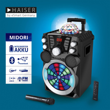 HAISER HSR 119 MIDORI Party Lautsprecher Anlage Disco Funkmikro MP3 USB