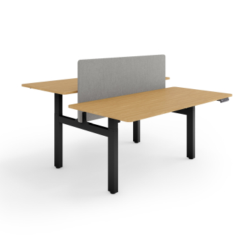 ESMART ETX-221BBA Elektrisch höhenverstellbarer Doppel-Schreibtisch 160 x 80 cm Bambus Dekor